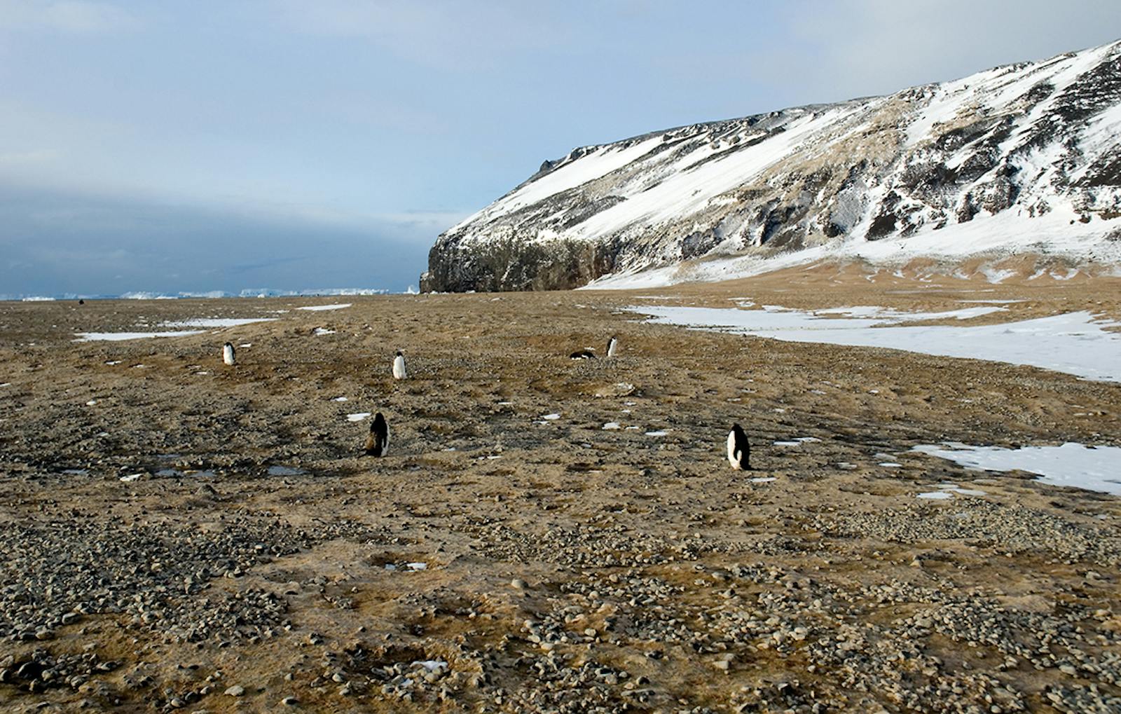 North Victoria Land Tundra One Earth